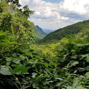 Meet your Posher, Cat22nc